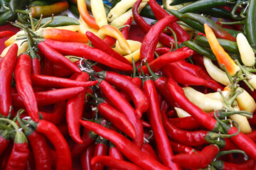 Santarcangelo di Romagna: fiere autunnali: peperoncino