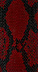 Red python Exotic texture
