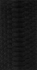 black python Exotic texture
