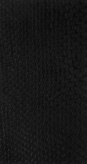 black python Exotic texture
