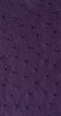 Purple Exotic ostrich texture
