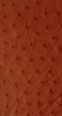 Orange Exotic ostrich texture

