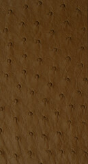 Brown Exotic ostrich texture
