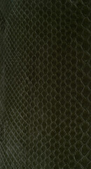 snakes leather texture