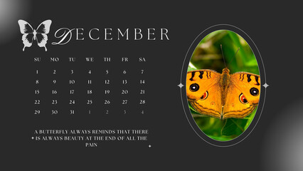 Butterfly Calendar 2024 - December 2024 - obrazy, fototapety, plakaty