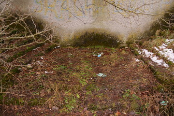 the background is the territory near the old abandoned house