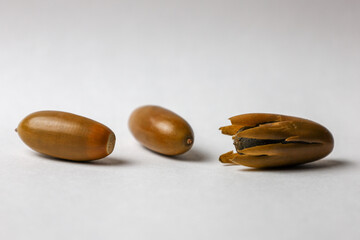 Three acorns on a white background