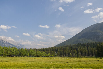 Fototapeta na wymiar A Smoky Summer Day at Banff National Park