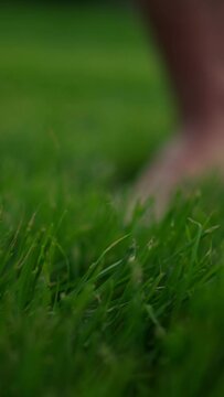 Cropped view of the man bare feet walking on wet green grass with sunlight