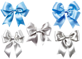 Set of blue and silver color ribbon bows for decoration products.