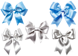 Set of blue and silver color ribbon bows for decoration products.