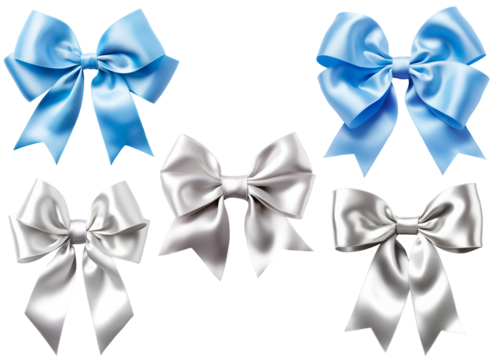 Set of blue and silver color ribbon bows for decoration products.
