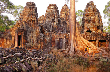 Long roots of a giant banyan among the ancient ruins of Angkor Wat in Cambodia