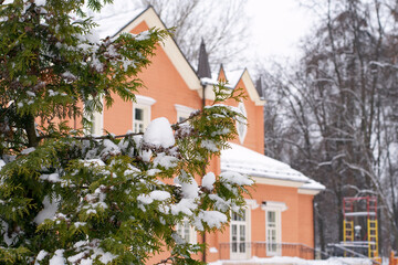 Winter countryside. Green branches of thuja, in the background an old house in bokeh,
