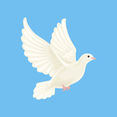 Flying white dove isolated on blue background. Vector cartoon flat illustration of pigeon.