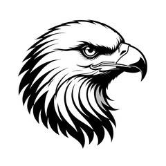 Black Eagle Head Illustration with Transparent Background 