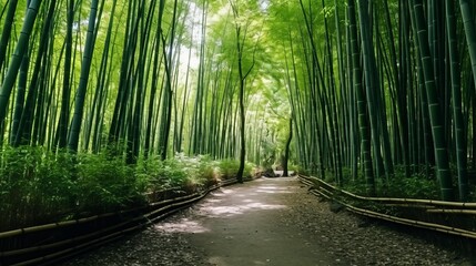 Beautiful landscape of bamboo grove in the forest at arashiyama kyoto