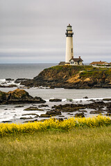 Beautiful view of the coast with yellow flowers and Pigeon Point Lighthouse, California