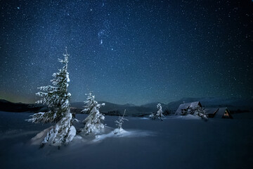 fabulous winter landscape in the mountains at night. Christmas tree under the night starry sky and...
