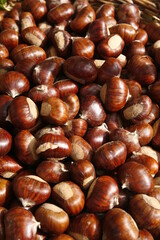 Casola Valsenio 2009: Festa dei Frutti Dimenticati: Prodotti esposti in una bancarella.  Marroni