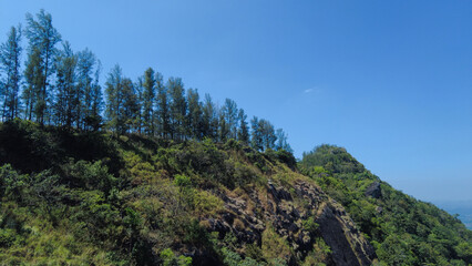 View of the mountains in the morning, Western ghats mountain range, Kerala 