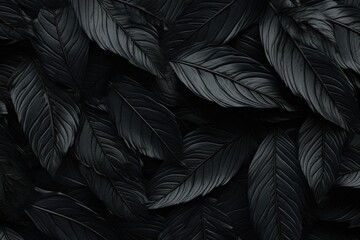 A close-up view of a bunch of black leaves. Perfect for nature-inspired designs and dark-themed projects