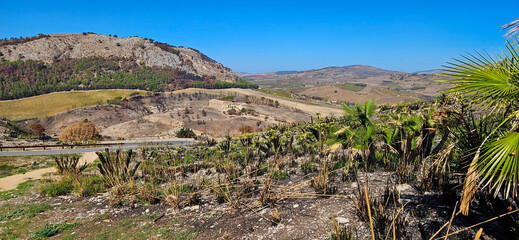 Segesta Temple in Doric style build by the Elymians on a hill near Segesta - Sicily - Italy.