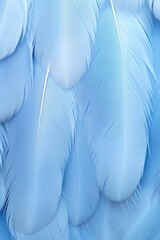 A close-up view of a bunch of blue feathers. Can be used for various creative projects or as a background element