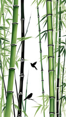 A Japanese watercolor drawing showing a bird in the bamboo groves