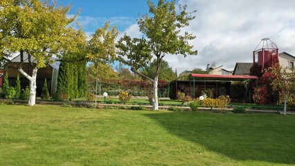 Trees and plants on the homestead plot near the country house. Fruit plants in a private garden in Europe. Apple, cherry, plum, pear, currant and gooseberry bushes. Ornamental grass on the plot.