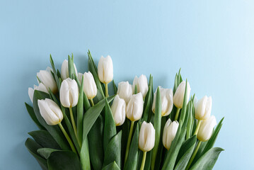 Floral border from bouquet of white tulips on blue background. Anniversary celebration concept. Copy space. Top view