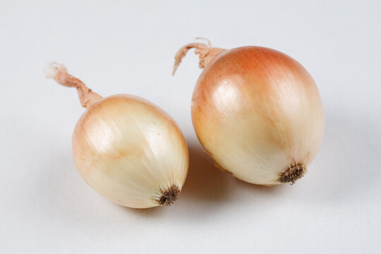 onions on white background
