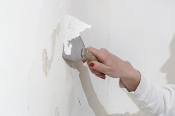 Saltpeter on the wall problem. Woman is using a scraper to scrape and remove all loose paint and plaster that is in poor condition, until a firm surface is achieved.  - obrazy, fototapety, plakaty