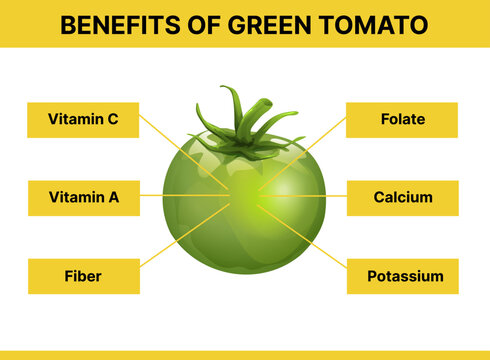 Benefits of green tomatoes. Informational infographic. Vector illustration.
