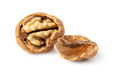 Walnut on white background