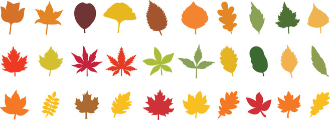 Fall leaves icon in flat style set. isolated on transparent background. Various fallen leaves autumn concept. Maple tree leaf. Seasonal holiday thanksgiving greeting card. vector for apps website - obrazy, fototapety, plakaty