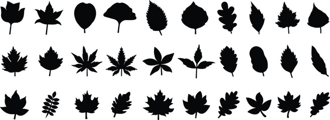 Fall leaves icon in flat style set. isolated on transparent background. Various fallen leaves autumn concept. Maple tree leaf. Seasonal holiday thanksgiving greeting card. vector for apps website