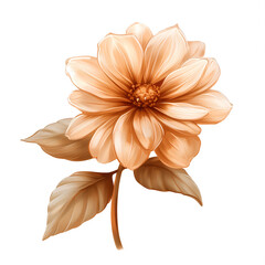 Lovely vintage colour flower clip art, oil painted flower, on removeable background, PNG flower. 