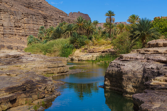 Oasis in Saharan Plateau Guelta Iherir
