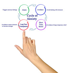 Components of Cycle of Anxiety