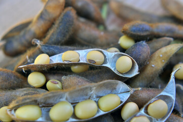 Ripe soybeans with pods