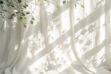 Shadows and light cast on the wall from curtains and blinds Sun rays on a clear day Mockup space for text