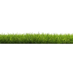 Green grass field clip art