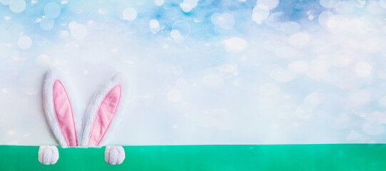 Easter rabbit with cute bunny ears and paws over a pastel blue sky behind a green background with room for copy space. 