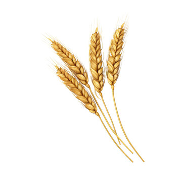 recommend clip art: Golden wheat stalk clip art