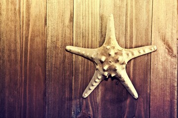 Starfish Wooden Background 1