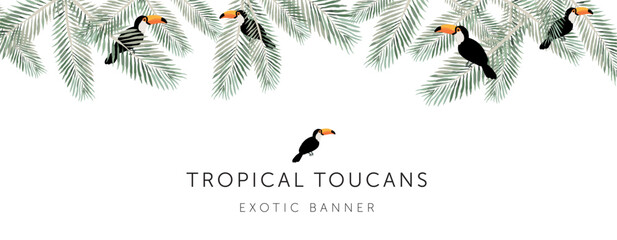 Tropical toucans, palm leaves, white background. Banner template with text. Vector illustration. Summer border design. Exotic plants, birds. Paradise nature