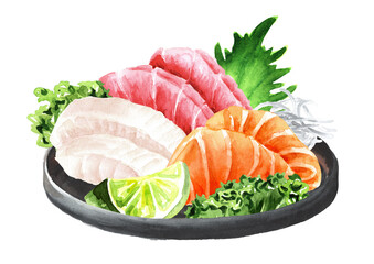 Japanese Sashimi set. Hand drawn watercolor illustration,  isolated on white background
