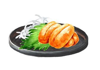 Sea urchin caviar.  Hand drawn watercolor illustration, isolated on white background