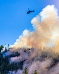 Helicopter fighting forest fires in the green forest. Vancouver Island, BC, Canada